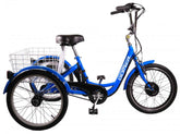 Converted Gomier Electric Tricycle